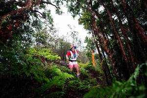 BIB: 
                            <button type="button" onclick="openModal(26201700)" class="btn btn-primary btn-sm float-right btn-popup" data-toggle="modal" data-target=".modal-high-quality">
                        <i class="fas fa-shopping-cart"></i> Add to Cart
                    </button>
                                            <button type="button" onclick="isThisMe(26201700, true)" class="btn btn-success btn-sm float-right btn-popup btn-isme hidden" data-toggle="tooltip" data-placement="bottom" title="นี่คือรูปของคุณใช่ไหม คลิกที่นี่เพื่อเอาเข้าอัลบั้ม">
                        <i class="fas fa-plus"></i> Add to album
                    </button>
                    <button type="button" onclick="isThisMe(26201700, false)" class="btn btn-warning btn-sm float-right btn-popup btn-isnotme hidden">
                        <i class="fas fa-ban"></i> Remove from album
                    </button>